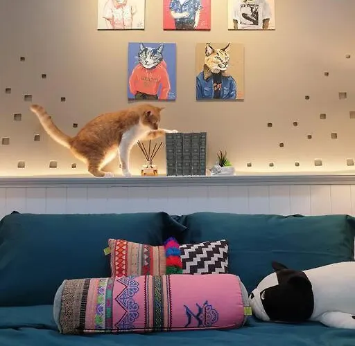 Double Studio, Private Bath & Balcony, Shared Kitchen With Local Family By Pillows & Purrs *