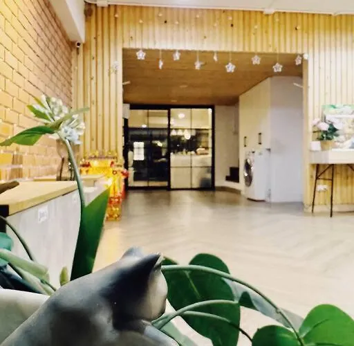 Apartment Double Studio, Private Bath & Balcony, Shared Kitchen With Local Family By Pillows & Purrs