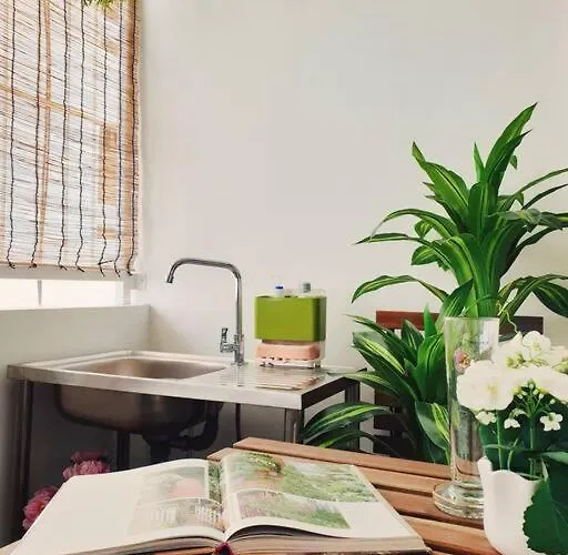 Double Studio, Private Bath & Balcony, Shared Kitchen With Local Family By Pillows & Purrs Apartment *